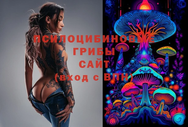 метадон Арсеньев